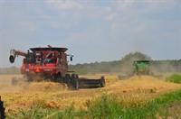 2 combines in rice field