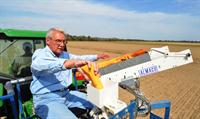 planting rice plot