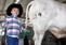 Boy with brush in cattle barn