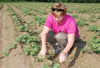 Tara Smith in sweet potato field