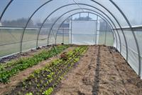high tunnel greenhouse structure