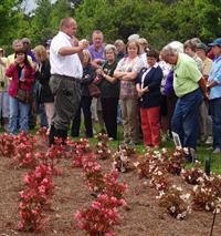 Master Gardeners