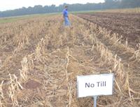 Ron Levy in no-till field