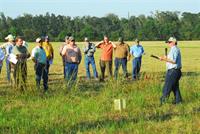 Vermilion field day