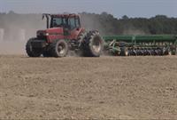 Rice Planting