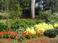 summer flower beds add color