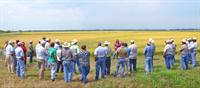 Natalie Hummel at Vermilion Parish rice field day