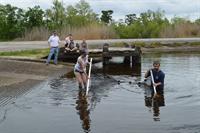 seining for fish