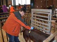 Sonnier with pig