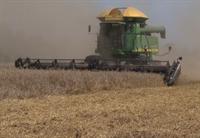 Wheat Harvest 