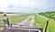 harvesting wheat in the Atchafalaya Basin