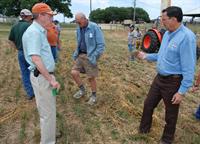 Soil field day