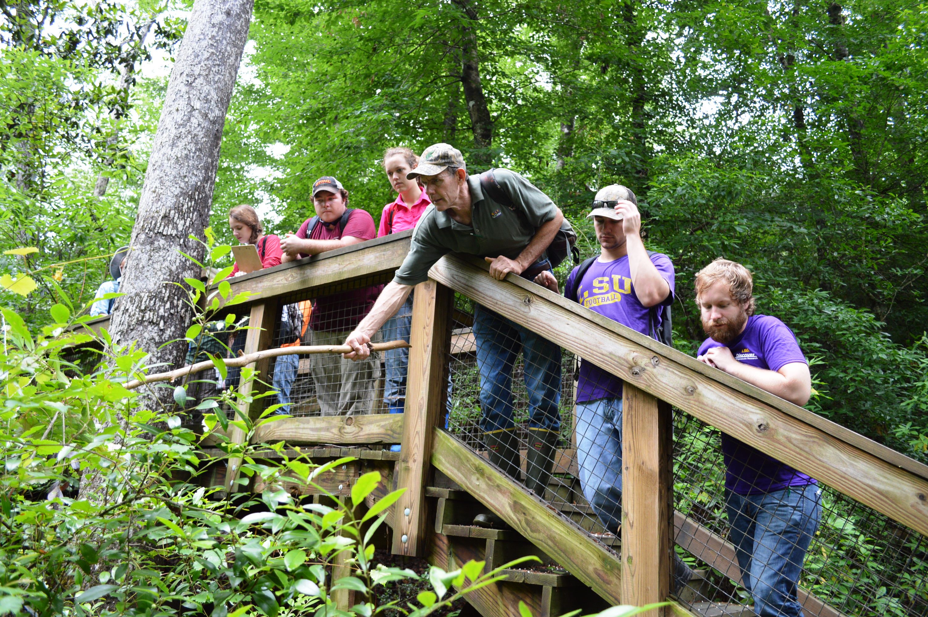 2 Weeks 100 Plants LSU Ag Students Take To Woods For Plant 