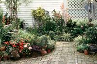 patio garden