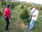 Christmas tree grower discusses damage
