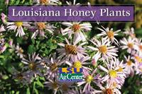 Honey Plants publication cover shot