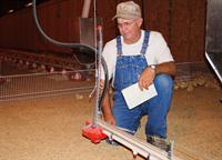 chicken house watering