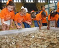 AgMagic - kids handling and looking at oysters in tank
