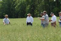 oat plot