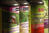 Best Insecticides