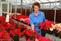 Woman selecting poinsettias in greenhouse